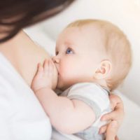 lb2-e296f761-1000x1000.jpglittle